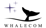 Whalecom